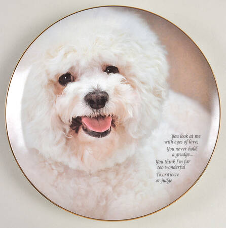 Cherished Bichons Eyes Of Love - No Box
