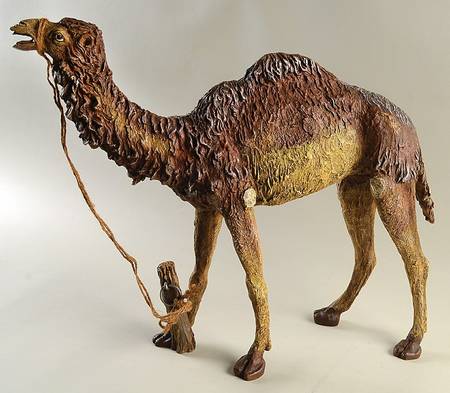 Neapolitan Nativity Camel Standing - Boxed