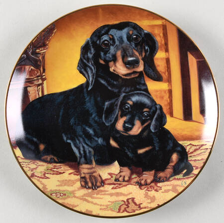Dachshund Pride And Joy - No Box