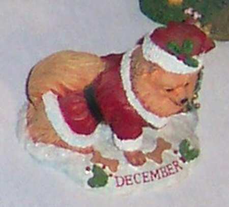 Pomeranian Perpetual Calendar December - No Box