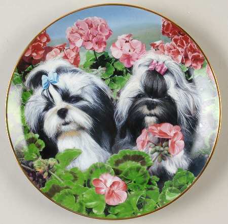 Shih Tzu Garden Party - No Box