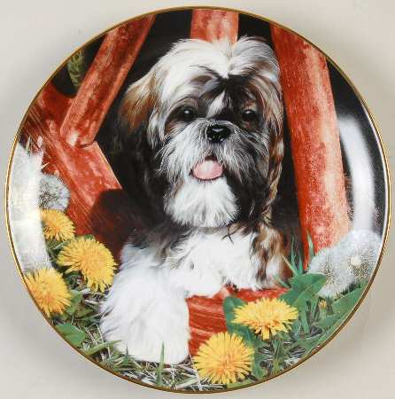 Shih Tzu by Danbury Mint