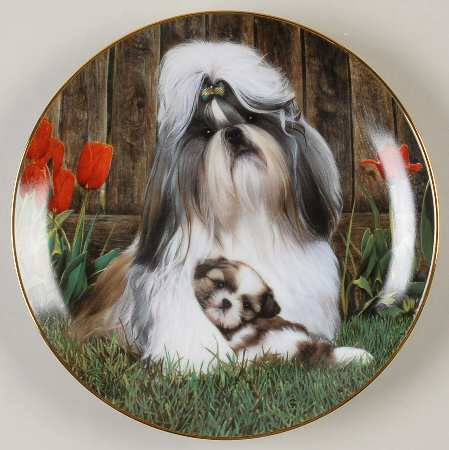 Shih Tzu Safe And Sound - No Box