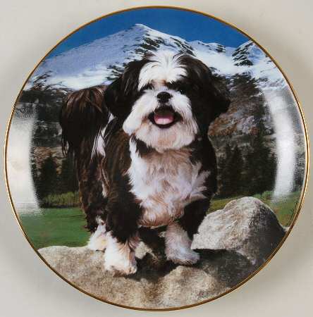 Shih Tzu King Of The Hill - No Box