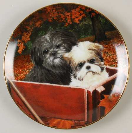 Shih Tzu Wagon Ride - No Box