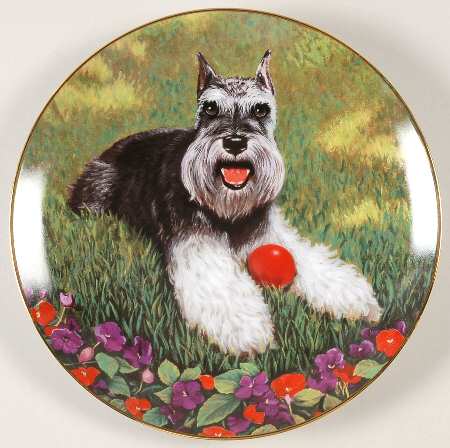 Miniature Schnauzers Play Ball! - No Box