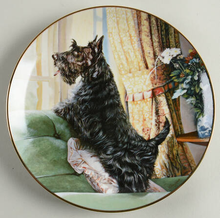Scottish Terriers Waiting For You - No Box