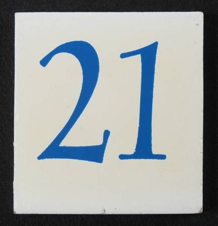 Dachshund Perpetual Calendar #21 Tile - No Box