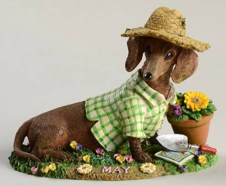 Dachshund Perpetual Calendar May - No Box