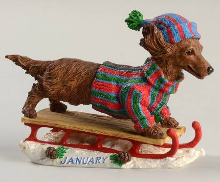 Dachshund Perpetual Calendar January - No Box