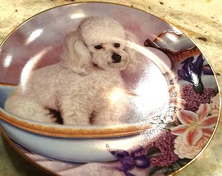 Poodles Bathing Beauty - No Box
