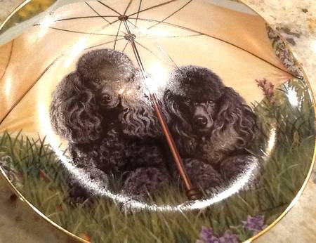 Poodles Parasol Pair - No Box