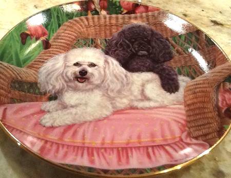 Poodles Salt & Pepper - No Box