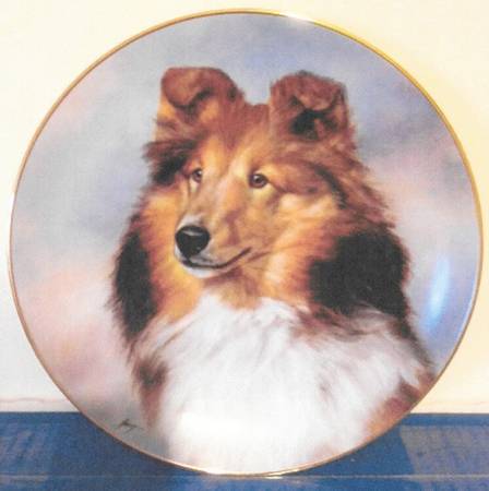 Shetland Sheepdogs Perfect Pose - No Box