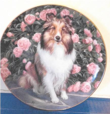 Shetland Sheepdogs Floral Portrait - No Box