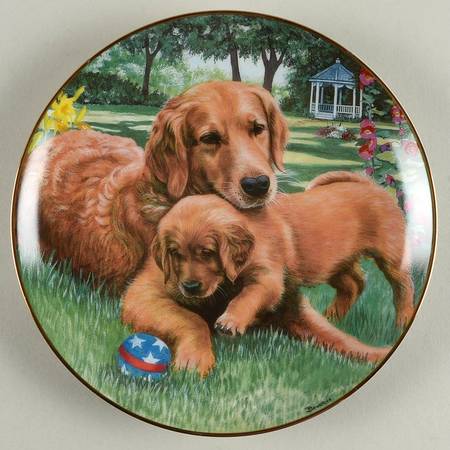 Golden Retrievers Tender Touch - No Box