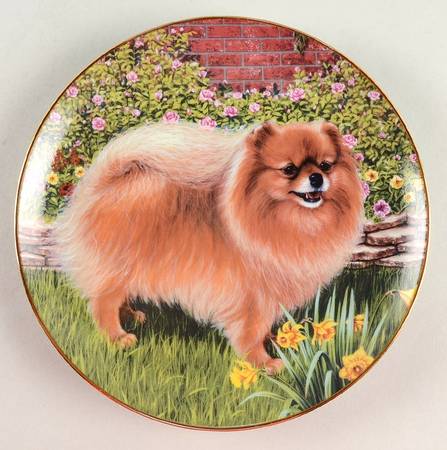 Pomeranians Springtime Delight - No Box