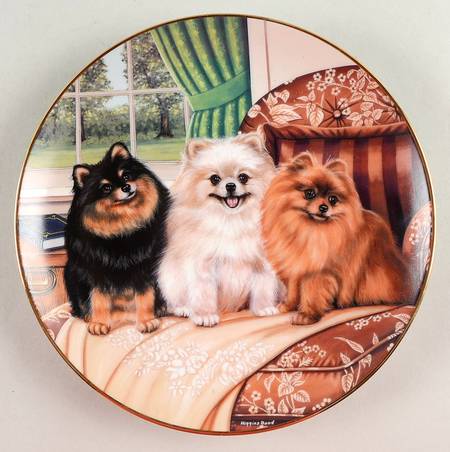 Pomeranians Three's Company - No Box