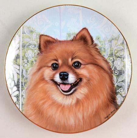 Pomeranians Morning Greeting - No Box
