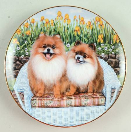 Pomeranians Backyard Poms - No Box