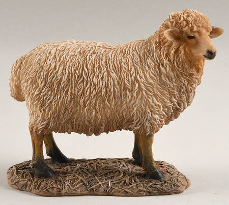 Mama Says Nativity Sheep - Boxed