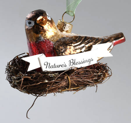 Birds on Nests Bird On Nest-Nature's Blessings - Boxed