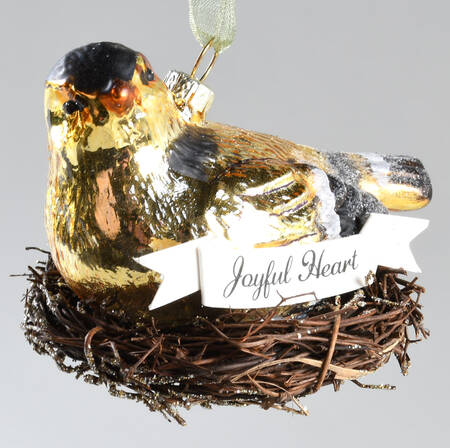 Birds on Nests Bird On Nest-Joyful Heart - Boxed