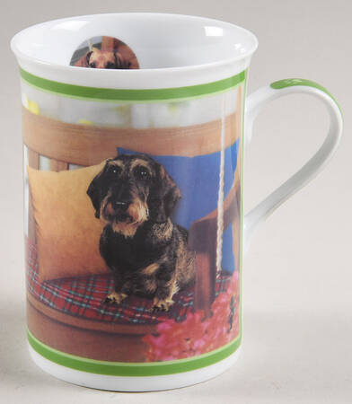 Darling Dachshunds On The Veranda - No Box
