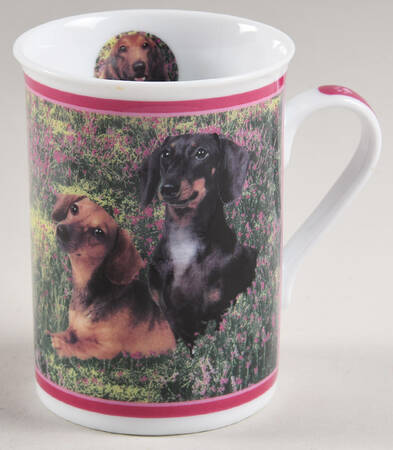 Darling Dachshunds Hiding In Heather - No Box