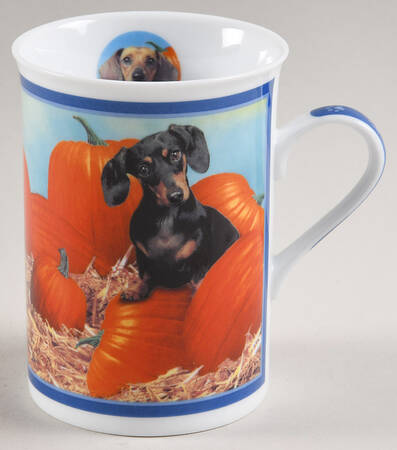 Darling Dachshunds Pumpkin Play - No Box