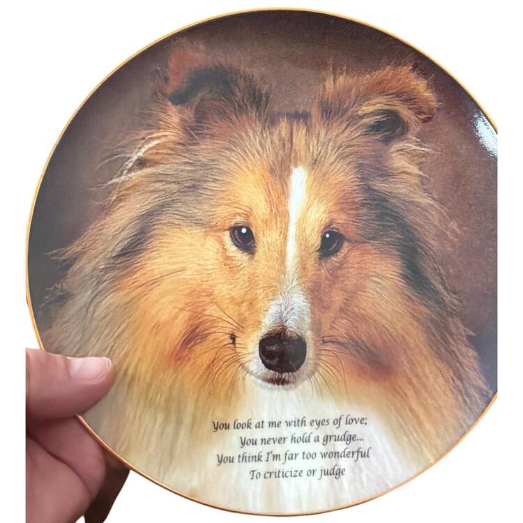 Cherished Shelties Eyes Of Love - No Box