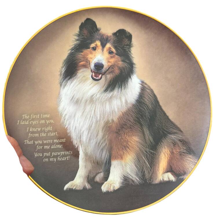 Cherished Shelties Pawprints On My Heart - No Box