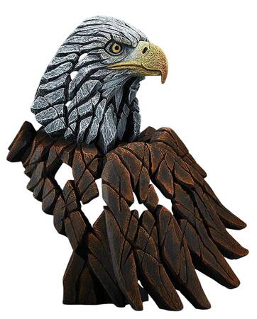 Birds Eagle Bald - Boxed