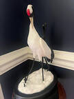 Franklin Mint Figurines The Japanese Crane - No Box