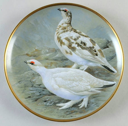 Gamebirds of The World Rock Ptarmigan - No Box