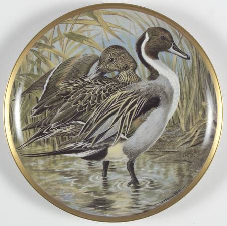 Water Birds of the World Pintail-Anas Acuta - No Box