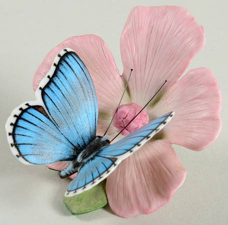 Butterflies of The World  Adonis Blue-Musk Mallow - No Box