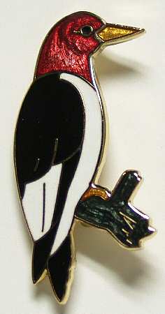 Fine Enamels Jewelry Woodpecker  - With Box