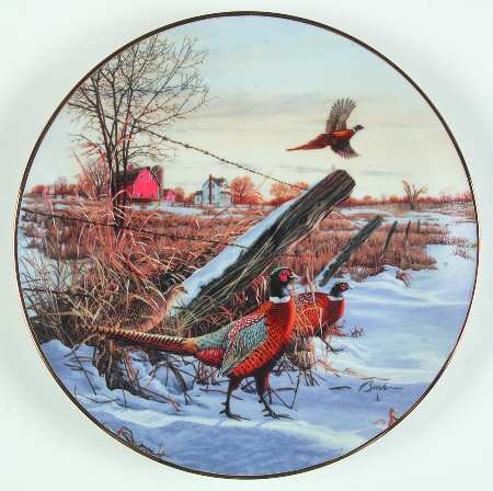 Field Birds of North America by WS George