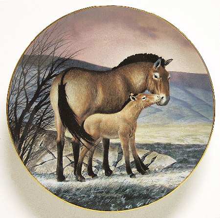 Last of Their Kind; Endangered Species Prezwalski's Horse - No Box