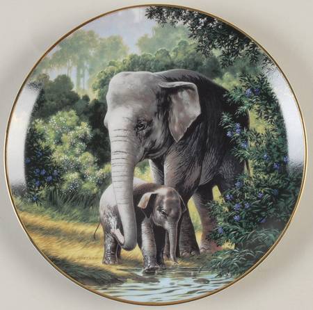 Last of Their Kind; Endangered Species Asian Elephant - Boxed