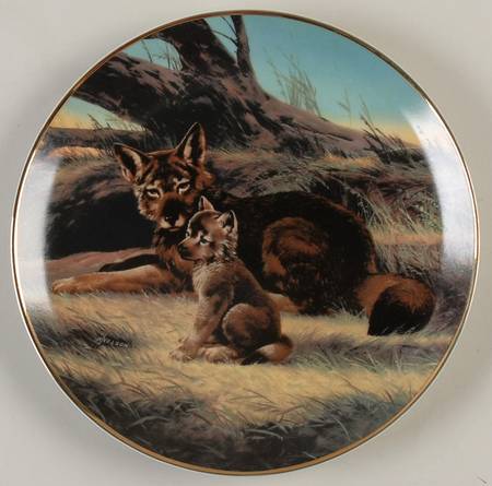 Last of Their Kind; Endangered Species Red Wolf - Boxed