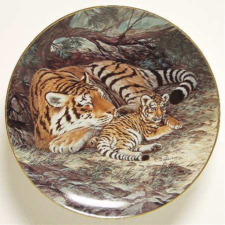 Last of Their Kind; Endangered Species Siberian Tiger - Boxed