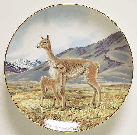 Last of Their Kind; Endangered Species Vicuna - No Box