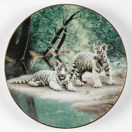 Nature's Playmates