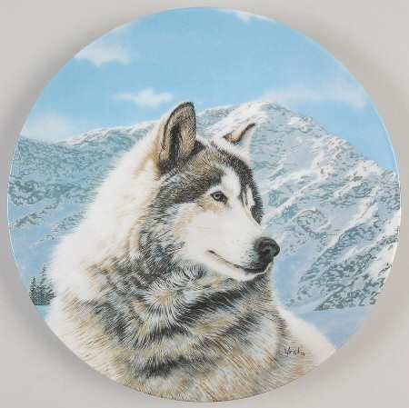 Wild Spirits Solitary Watch - No Box