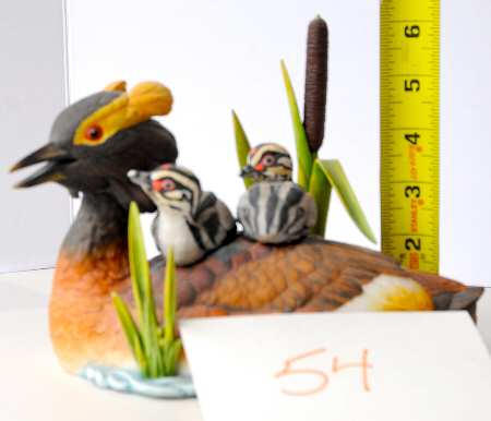 Wings of the Wetlands Spring Outing-Horned Grebes - Boxed