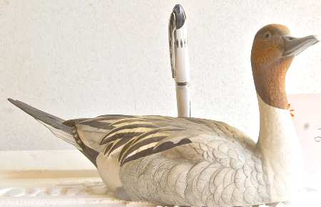Wings of the Lakeland Pintail - No Box