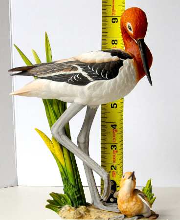 Wings of the Wetlands First Steps-American Avocets - No Box