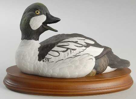 Wings of the Lakeland Goldeneye - Boxed